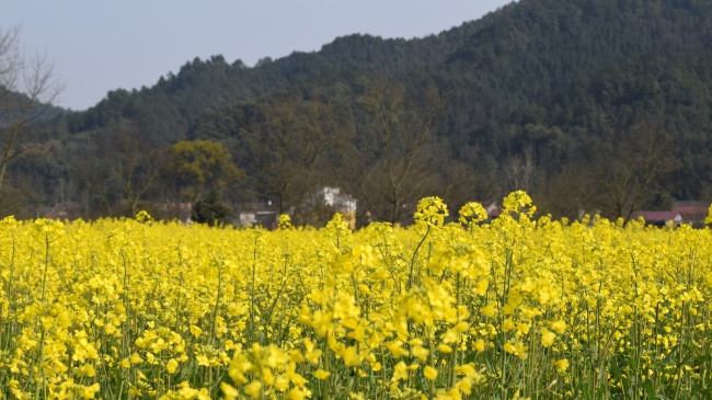 徐峥探访四川凉山和孩子们一起画出心中最温